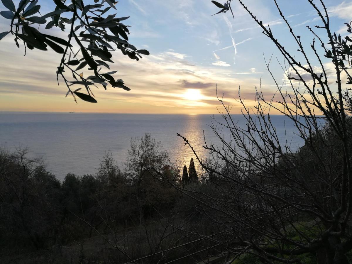 Villa Gio - Terrazza Nel Blu Bergeggi Eksteriør billede
