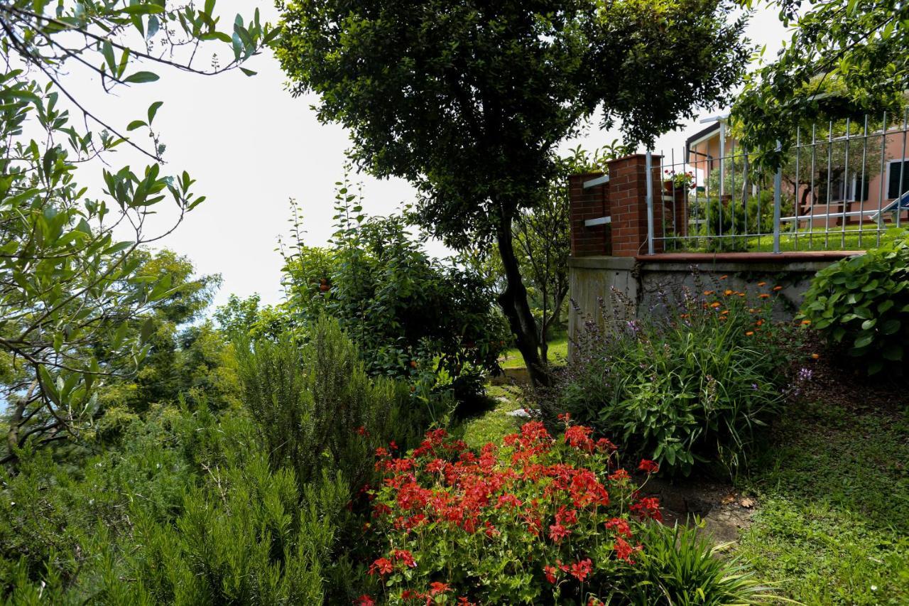 Villa Gio - Terrazza Nel Blu Bergeggi Eksteriør billede