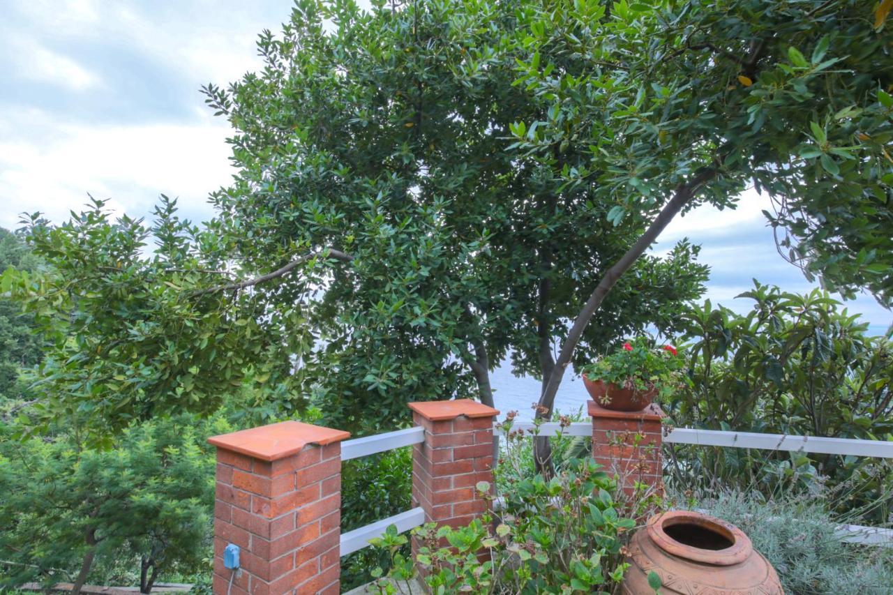 Villa Gio - Terrazza Nel Blu Bergeggi Eksteriør billede